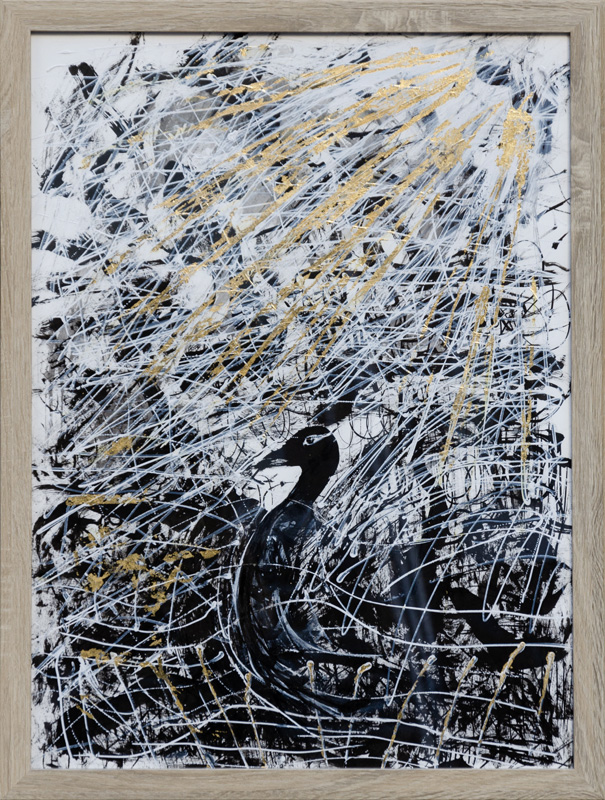 Black Swan by Rafael Gallardo