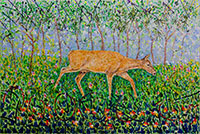 Our Deer by Rafael Gallardo